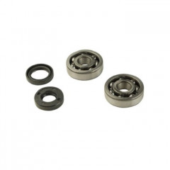 KIT ROULEMENTS EMBIELLAGE JOINTS SPI TUNR X-LIMIT - NK7 - XR7 - XP6 - XPS - XR6 - TZR - BETA RR - MINARELLI AM6