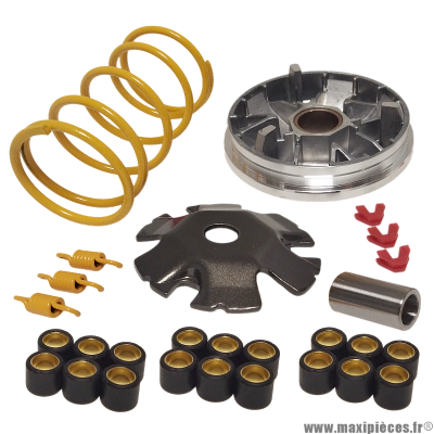 Variateur racing adaptable scooter Piaggio Zip Typhoon NRG Gilera Runner Stalker Vespa * Prix spécial !