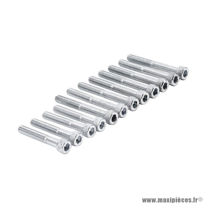 Kit de 12 vis adaptable pour carter moteur Derbi 2T 50cc motorisation euro 3/4