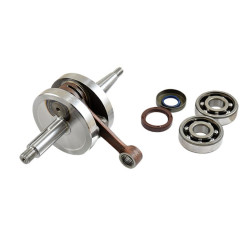 Vilebrequin TOP PERFORMANCES type origine AM6 pour Aprilia MX RS50, Beta Enduro RR, MBK X-Limite, Peugeot XP6 XR6, Yamaha DTR TZR