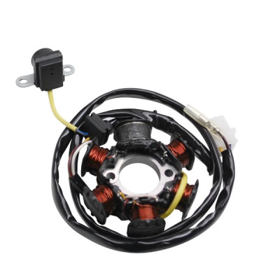 Stator allumage adaptable 6 pôles pour Peugeot 50 TKR, Trekker, Speedfight, Vivacity, Buxy, X-Fight, Elyseo, Looxor, PGO 50 Big Max * Prix spécial !