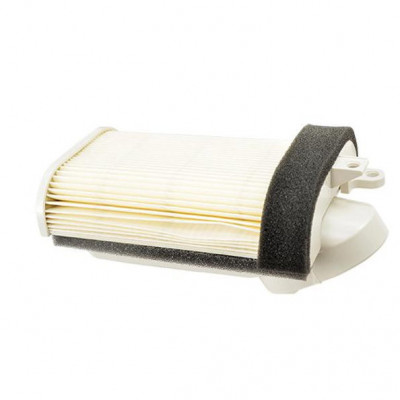 Filtre à air adaptable 500cc 2001-2007 / 530cc 2012-2016 HFA4509