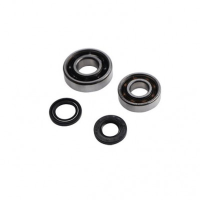 Kit roulements 6203 C3 TPI + 6204 C3 TPI Polyamide Peugeot 103