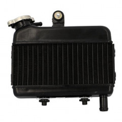 Radiateur complet adaptable Peugeot 103 RCX/SPX LC liquide + bouchon
