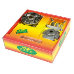 Vario Top Performances Galets 19x15,5mm Livré Avec Ressort - Piaggio 50 ZIP 2T, NRG, Typhoon, Vespa LX, Gilera 50 Runner, Stalker, Ice, DNA