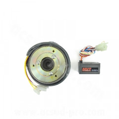 Allumage MVT Rotor Externe Forge Analogique Variable Adapté Ludix / Peugeot Speedfight 3 AC-LC