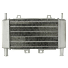 Radiateur adaptable adaptable pour Gilera 50 Runner, Piaggio 50 Zip SP