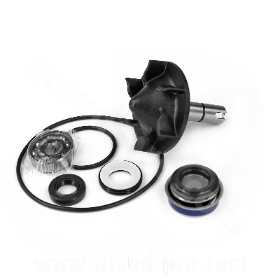 Kit réparation pompe à eau adaptable pour maxi scooter 530cc (OEM : 59C-124200-000 - 59C-124201-000)
