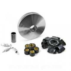 Variateur scooter adaptable pour scooter chinois 50cc motorisation 4T GY6 139QMB/A / PEUGEOT 50 KISBEE V-CLIC 4T / SYM 50 ORBIT 4T / KYMCO 50 AGILITY 4T