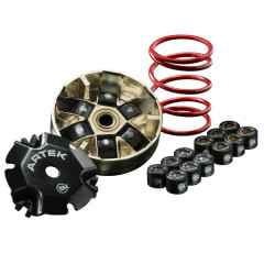 Variateur Artek K2 Evo 3 jeux de 6 galets 19x15,5mm + ressort pour Piaggio 50 Zip 2000+, NRG, Typhoon-Gilera 50 Runner, Stalker