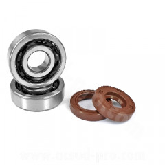 Kit roulements Carenzi 6303 TN9/C3 cage polyamide + joints Viton pour moteur AM6