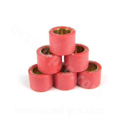 GALET VARIATEUR Carenzi 16x13 6g PEUGEOT LUDIX / BUXY / TREKKER / FIGHT / KISBEE / VIVACITY 3 / TWEET / PIAGGIO TYPHOON ANCIEN MODELE / SYM ORBIT / TNT MOTOR HALO / TNT MOTOR BOSTON 12 Po