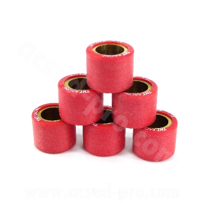 Galet variateur Carenzi Ø16 x 13 9g - Adapté pour Peugeot Ludix, Buxy, Trekker, Fight, Kisbee, Vivacity 3, Tweet, Piaggio Typhoon ancien modèle, Sym Orbit, TNT Motor Halo, Boston 12 Po