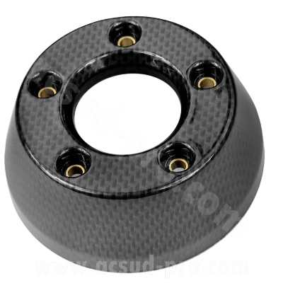 Embout d'échappement RB Max Carbone Yamaha TMAX 500 / Majesty 400 2001-2007