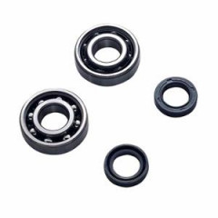 Roulement d'embiellage adaptable polyamide pour scooter Ludix, Speedfight 3, Vivacity 3, Kisbee