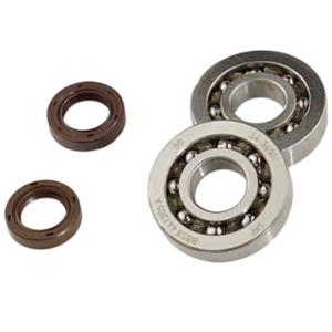 Roulement d'embiellage Doppler SKF C4 Polyamide pour Typhoon / NRG / Stalker (20x52ep11)