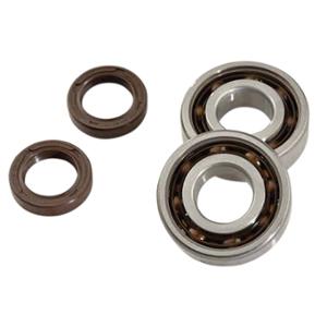 Roulement vilo Doppler JTS SPI pour LUDIX (20x47 ep14) - SKF C4 polyamide