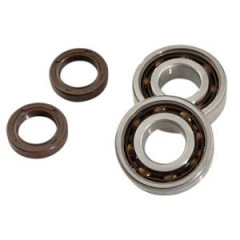 Roulement vilo Doppler JTS SPI pour LUDIX (20x47 ep14) - SKF C4 polyamide