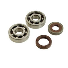 Roulement d'embiellage Doppler 6303 X2 C3 Polyamide pour AM6 Montage Origine