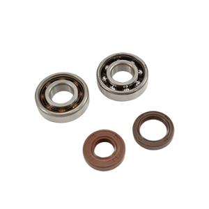 Roulement d'embiellage Doppler 6204 X2 SKF C4 Polyamide pour AM6 Endurance