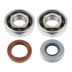 Roulement d'embiellage + Joint Artek Kit 6204 Polyamide C4 pour Minarelli 50 AM6, MBK 50 X-Power, Yamaha 50 TZR, Peugeot 50 XPS, XR6, Rieju 50 RS1, Beta 50 RR