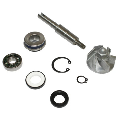 Kit de réparation pompe à eau Buzzetti adaptable pour Honda 125 SH, 125 Pantheon, 125 Dylan