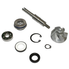 Kit de réparation pompe à eau Buzzetti adaptable pour Honda 125 SH, 125 Pantheon, 125 Dylan