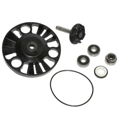 KIT REPARATION POMPE A EAU Buzzetti ROULEMENTS DIAMETRE 22 POUR PIAGGIO 125 X8, X9, BEVERLY, VESPA GTS, GILERA 125 NEXUS, 125 RUNNER, APRILIA 125 ATLANTIC
