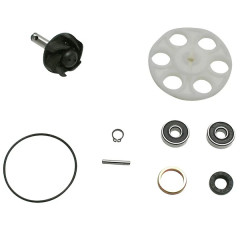 Kit réparation pompe à eau Top Performances type origine pour MBK 50 Nitro, Yamaha 50 Aerox, Malaguti 50 F12, Aprilia 50 SR 1995-1999, Beta 50 Ark, Italjet 50 Dragster