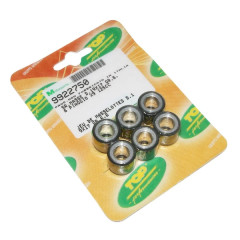 Galets x6 Top Performances 19x17 6,6g pour Piaggio 125 Beverly, Fly, Liberty, MP3, Yourban, Vespa LX et GTS, X10, X9, X8, X7, X-EVO