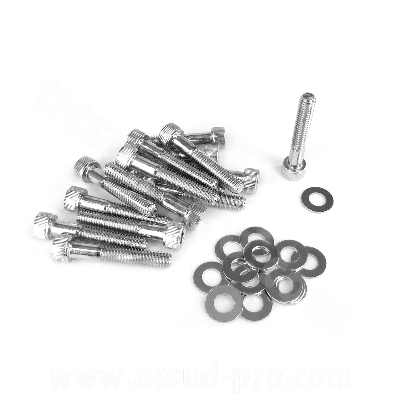 Vis BTR Adaptable Chromée pour Couvercle de Transmission Piaggio Typhoon (x15)