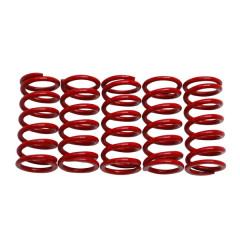 Ressorts embrayage renforcés x5 Replay DERBI 50 SENDA, GPR-GILERA 50 SMT, RCR
