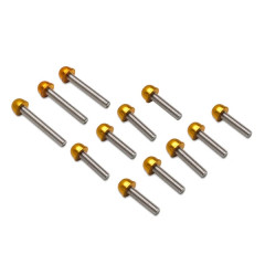 Vis de carter Replay acier avec embout or (Kit de 12) pour MBK 50 Booster / Yamaha 50 BWS