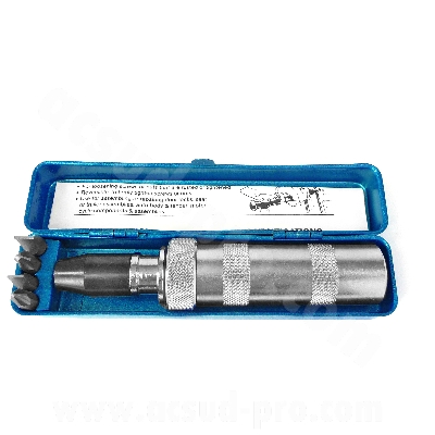 Tournevis à frapper adaptable avec embout