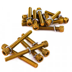 Vis de décoration capotage adaptable or pour scooter