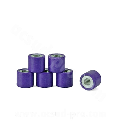 Galet variateur TNT Ø19 x 17 8,5g Piaggio X8 / X9 125 / MP3 125 / Fly 125 4T / Liberty 125