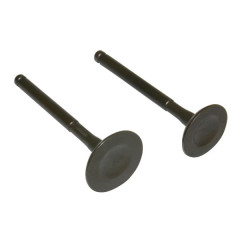 Soupapes adaptable (x2) pour maxi scooter chinois 125cc GY6 152QMI 4T
