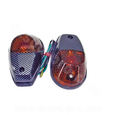 Clignotants à visser adaptable carbone / fumés (la paire)