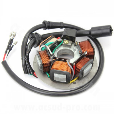 Stator adaptable 5 poles pour scooter / maxiscooter 50-125cc Vespa PK / Ape (OEM 199500)