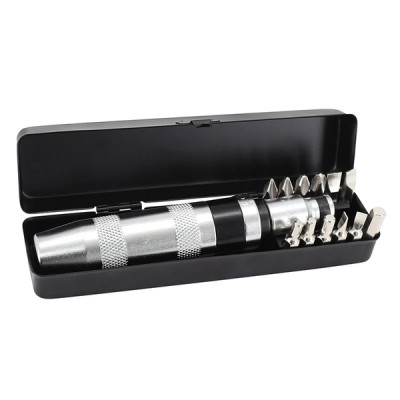 Tournevis à frapper adaptable avec embouts pour vis fendue, cruciforme, hexagonale - Coffret Acier