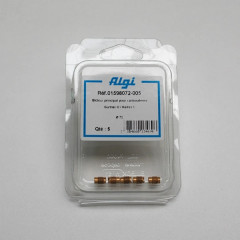 Gicleur principal Algi 72 (blister de 5)