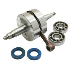 Embiellage Vilebrequin Top Performances Modèle renforcé avec roulements + joints Derbi 50 Senda 2006+, GPR 2006+, Aprilia 50 RS 2006+, Gilera 50 SMT, RCR 2006+ (Moteur Piaggio Euro 3)