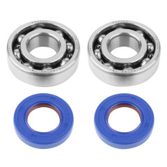 Roulement d'embiellage + joint Polini adaptable Derbi 50 Senda, GPR - Gilera 50 SMT, RCR (moteur Euro 2, Euro 3)