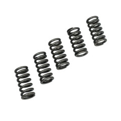 Ressorts disque d'embrayage Artek renforcé x5 Derbi 50 Senda, GPR-Gilera 50 SMT, RCR-Minarelli 50 AM6, MBK 50 X-Power, X-Limit-Yamaha 50 TZR, DTR-Peugeot 50 XPS, Rieju 50 RS1