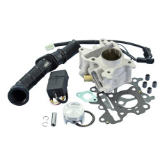 Cylindre fonte Polini pour scooter 50 Yamaha Aerox 4T (166.0116)