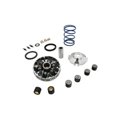 Variateur hi-speed Polini pour scooter 50 Piaggio Liberty 4T 3V IGET, ZIP 4T 3V, Vespa 50 Primavera EURO 4, 5 (241.737)