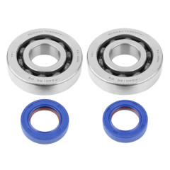 Roulement d'embiellage + joint Polini Kit 282.0001 pour scooter Piaggio 50 Zip 2T, Typhoon, NRG - Gilera 50 Stalker, Runner