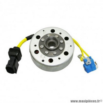 Allumage complet Piaggio 125 Liberty, Fly, X8, X9-EVO, Vespa GT, Vespa LX, Vespa-S, Typhoon, Gilera 125 Runner 4T, Aprilia 125 Sport-City-One, Atlantic, Mojito - 58059R