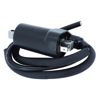 Bobine allumage adaptable 12V - 2 cosses Cagiva 650 Raptor - Ducati 600 Monster 1993 à 2001, 750 Monster 1996 à 2001 - Suzuki 650 SV 1998 à 2002