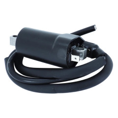 Bobine allumage adaptable 12V - 2 cosses Cagiva 650 Raptor - Ducati 600 Monster 1993 à 2001, 750 Monster 1996 à 2001 - Suzuki 650 SV 1998 à 2002